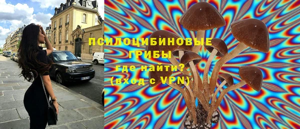 экстази Корсаков