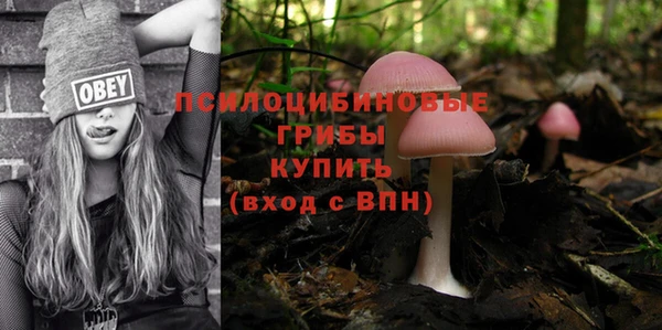 экстази Корсаков