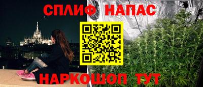гашик Гагарин
