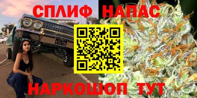 гашик Гагарин
