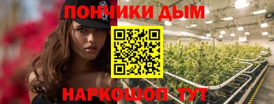 гашик Гагарин