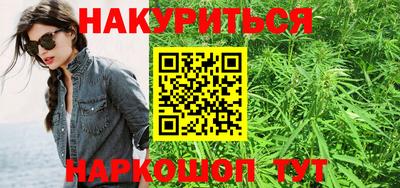 Альфа ПВП Гатчина