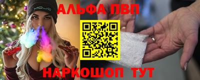 спиды Гай
