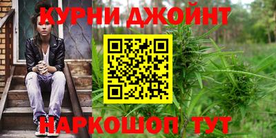 спиды Гай