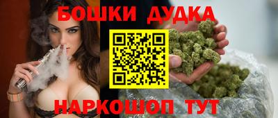 Альфа ПВП Гатчина