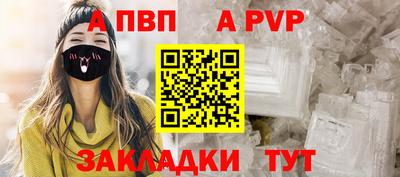 спиды Гай