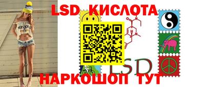 Альфа ПВП Гатчина