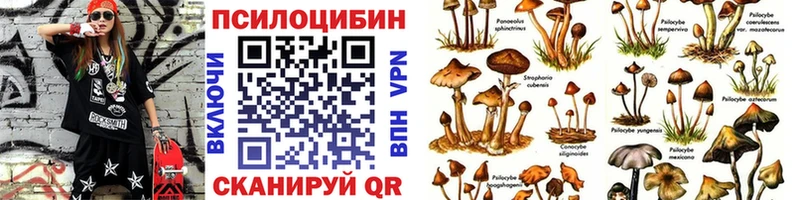 закладка это формула Галлюциногенные грибы Psilocybine cubensis Рязань