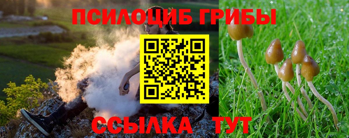Галлюциногенные грибы Magic Shrooms Рязань